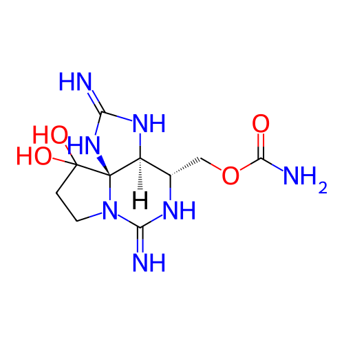 PNG