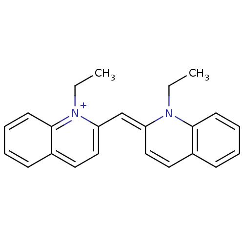 PNG
