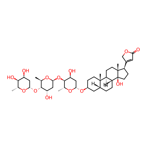PNG