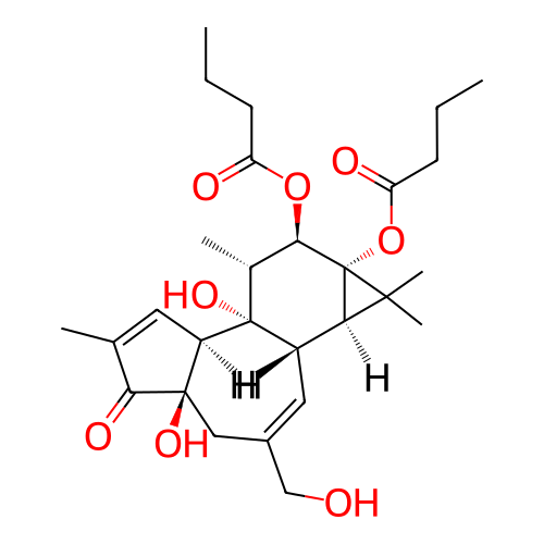 PNG
