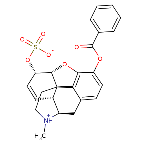 Chemical structure of BindingDB Monomer ID 50189260