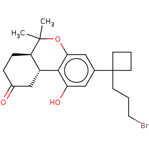 Chemical structure of BindingDB Monomer ID 50603262